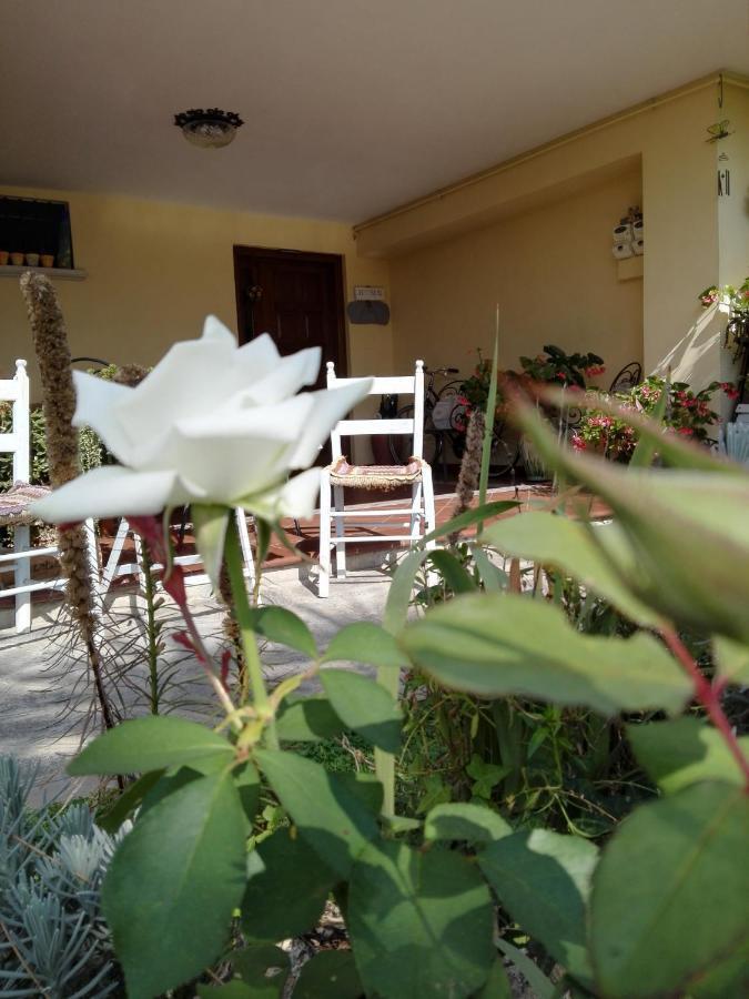 Casa Iovara Telese エクステリア 写真